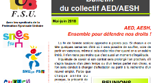 Bulletin du collectif AED/AESH FSU académique - Mai Juin 2018