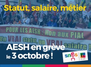 Grève des AESH - 3 novembre 2023