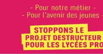 Pour défendre la voie pro et gagner pour nos salaires : mobilisation le 18 (…)