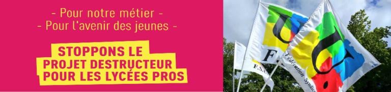 Pour défendre la voie pro et gagner pour nos salaires : mobilisation le 18 (…)